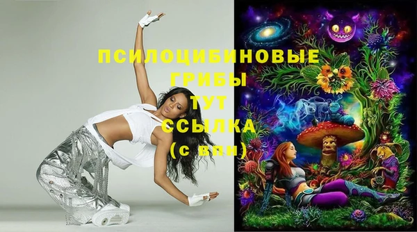 кокс Осинники