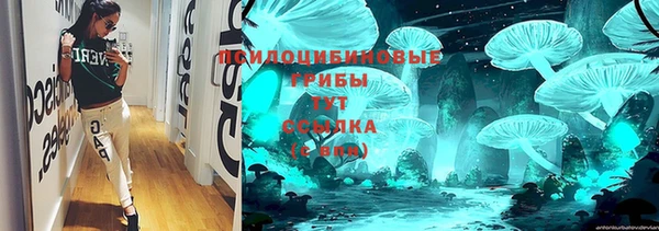 бошки Алексин