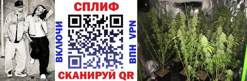 где можно купить Выкса Каннабис индика